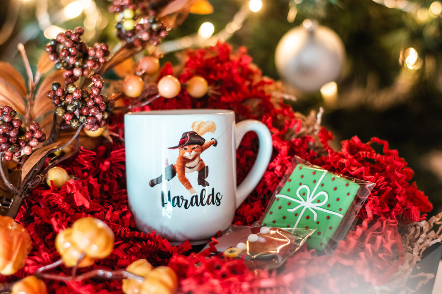 Runcis zābakos B_32